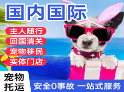 郑州新郑机场快递国际宠物托运 【国
